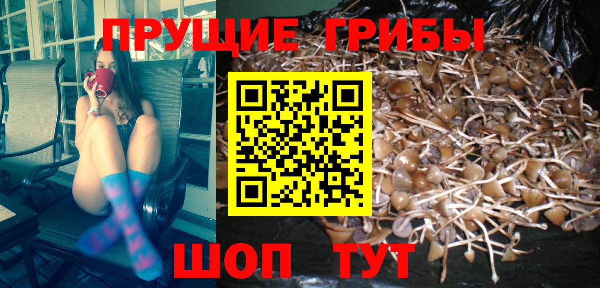 ТГК  Кирово-Чепецк  Лсд 25  Вход с VPN  Конопля  Гашиш  Меф кристаллы  АМФ   COCAIN  Alpha PVP СОЛЬ кристаллы 