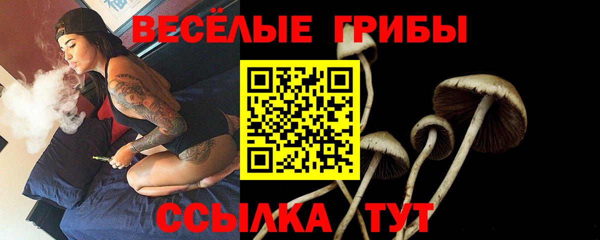 Кирово-Чепецк  хочу наркоту  Вход с VPN  Псилоцибиновые грибы мицелий  Галлюциногенные грибы мухоморы 